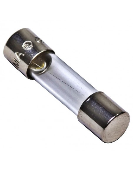 Mgl B170 Fusible De Vidrio 21mm 10.0 A